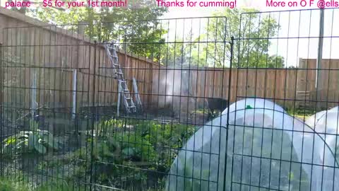 Snapshot of ells_palace chatting on 06/01/26, 01:35 Ella Bella Bo Bella online show from 06/01/26, 01:35