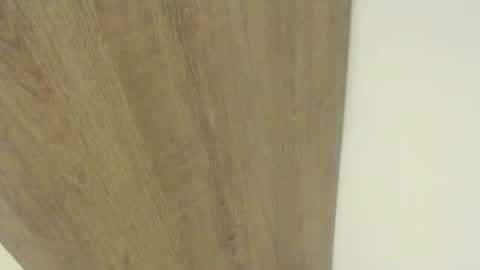 elmono33 online show from 01/23/25, 05:13