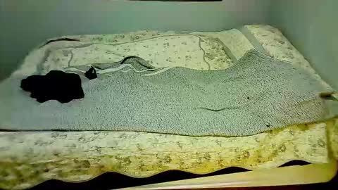 Snapshot of elpouto chatting on 03/07/26, 10:01 Elpouro online show from 03/07/26, 10:01