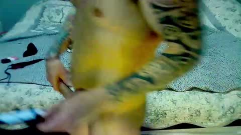 Snapshot of elpouto chatting on 03/09/26, 05:11 Elpouro online show from 03/09/26, 05:11