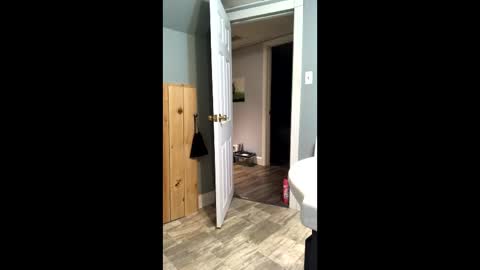 Snapshot of elpouto chatting on 04/02/26, 09:07 Elpouro online show from 04/02/26, 09:07