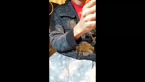 Snapshot of elvergg1 chatting on 01/19/26, 07:12 elvergg1 online show from 01/19/26, 07:12