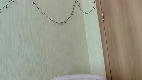 Snapshot of elza_com chatting on 03/07/26, 07:38 Elza Kom online show from 03/07/26, 07:38