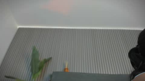 Snapshot of emelie_89 chatting on 06/03/26, 11:35 emelie_89 online show from 06/03/26, 11:35