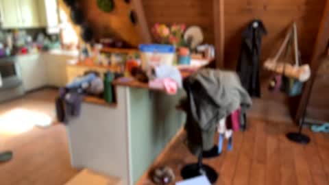 popalottapuss - puddin tits - daddy - buttercup - bonfire - Mrs. Fuck Yea - hibeams - honey buns - online show from 11/11/25, 05:24