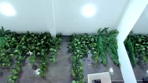 Snapshot of emiily_smile chatting on 07/28/26, 12:48 Emily online show from 07/28/26, 12:48