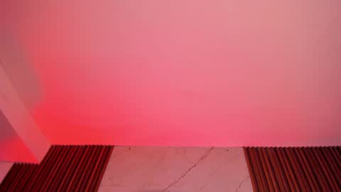   online show from 01/29/25, 01:05