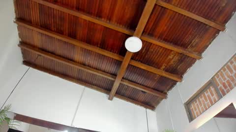 Emily  online show from 11/05/25, 11:21