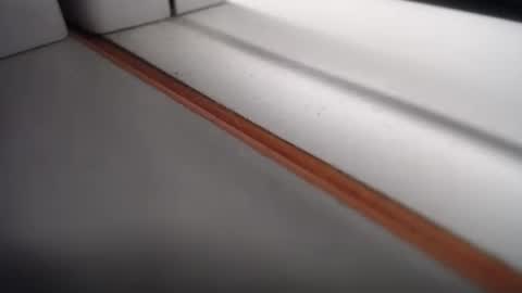 emily hoot1 online show from 02/24/25, 10:37