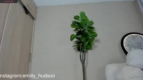 Snapshot of emily_huddson_ chatting on 06/30/26, 09:49 independet model online show from 06/30/26, 09:49