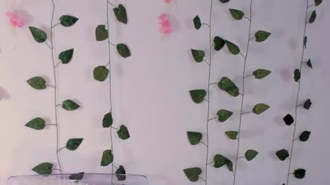 Emily online show from 02/02/25, 03:10