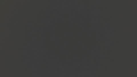 Liss online show from 12/15/24, 09:42