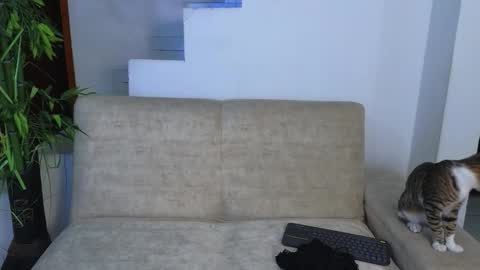 Snapshot of emma_blue_ chatting on 03/08/26, 02:37 Emma Blue modelo independiente online show from 03/08/26, 02:37