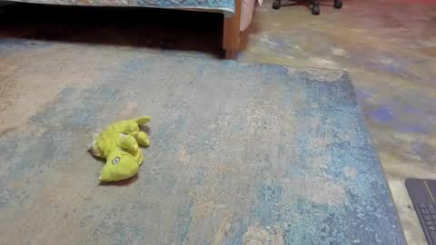 whises lits        online show from 02/21/25, 12:28