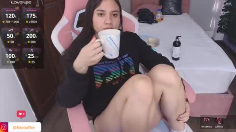 Snapshot of emmaa_rs chatting on 11/04/25, 12:04 emma online show from 11/04/25, 12:04