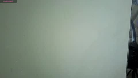    online show from 05/01/26, 11:04