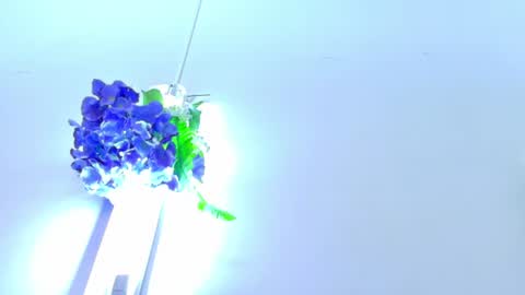 Snapshot of emmawuilian chatting on 07/18/26, 11:47 hi im emmalina welcome to your happy place online show from 07/18/26, 11:47