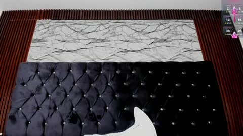 Snapshot of emmiily chatting on 12/15/24, 03:09 Emely online show from 12/15/24, 03:09