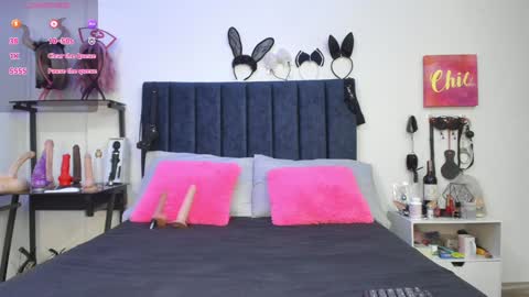          online show from 01/27/25, 11:54