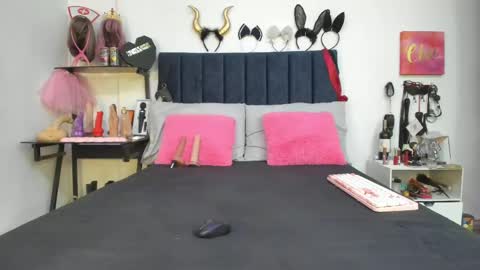          online show from 04/29/26, 12:31