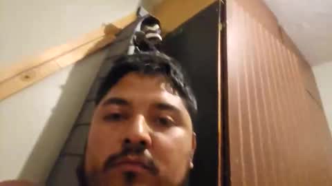 Snapshot of engineer_model_2022 chatting on 03/01/26, 04:25 engineer_model_2022 online show from 03/01/26, 04:25