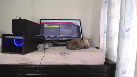 Eolicasextwo online show from 01/10/25, 09:42