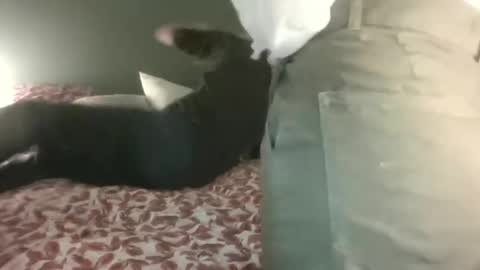 Snapshot of ericstephcam31 chatting on 02/28/25, 10:06 Steph et Eric online show from 02/28/25, 10:06