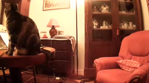 Snapshot of ericstephcam31 chatting on 11/26/25, 10:05 Steph et Eric online show from 11/26/25, 10:05