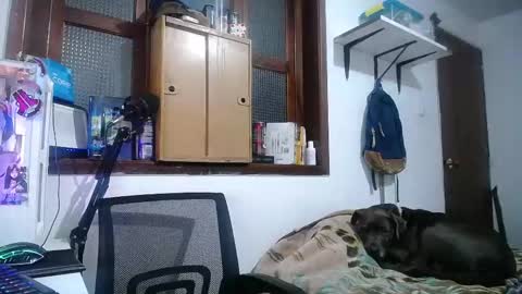 Snapshot of esjrobles chatting on 02/10/25, 04:08 Esteban online show from 02/10/25, 04:08