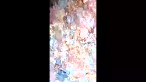 esteralcantara online show from 02/09/26, 05:50