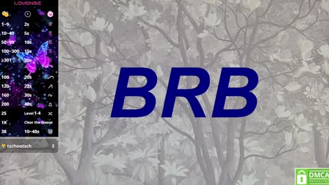 Eva online show from 01/28/25, 04:08