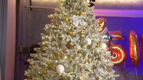 Eva online show from 12/28/24, 06:50