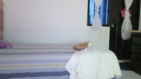 Eva Sin online show from 06/12/26, 11:25