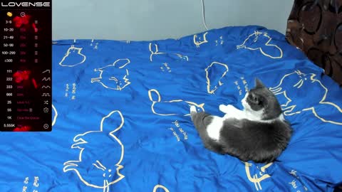 Eva online show from 01/17/25, 01:03