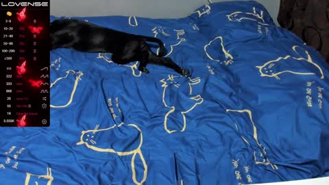 Eva online show from 01/19/25, 01:01