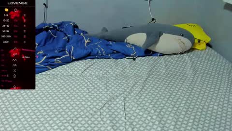 Eva online show from 02/19/25, 02:34