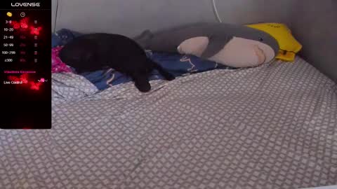 Eva online show from 02/20/25, 12:57