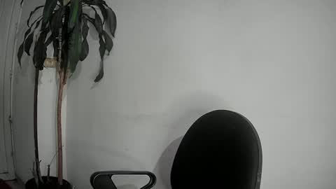 evacollins12 online show from 12/02/24, 12:52