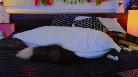 Snapshot of evasabor chatting on 12/08/24, 04:25 Eva online show from 12/08/24, 04:25