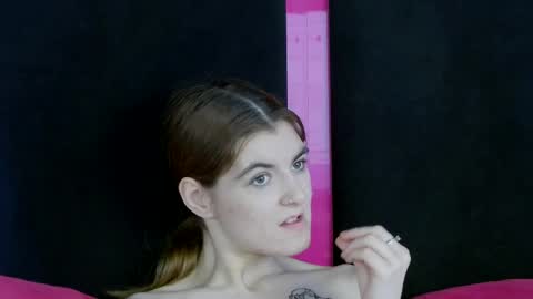 Snapshot of evelisse chatting on 04/25/26, 01:41 Eve online show from 04/25/26, 01:41