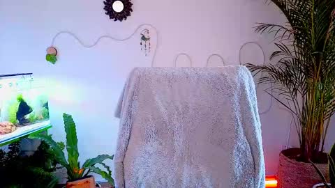Snapshot of evelyn_chelle chatting on 05/02/26, 04:56 Im Eve or Chelle Next Stream 191224 online show from 05/02/26, 04:56