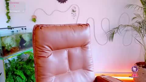 Snapshot of evelyn_chelle chatting on 05/04/26, 06:37 Im Eve or Chelle Next Stream 191224 online show from 05/04/26, 06:37