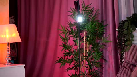 Evelyn online show from 02/05/25, 07:31