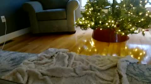 Snapshot of everleighmae chatting on 12/09/24, 01:24 Everleighmae online show from 12/09/24, 01:24