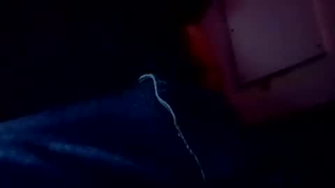 Snapshot of evocation514 chatting on 02/03/25, 04:57 Evocation online show from 02/03/25, 04:57