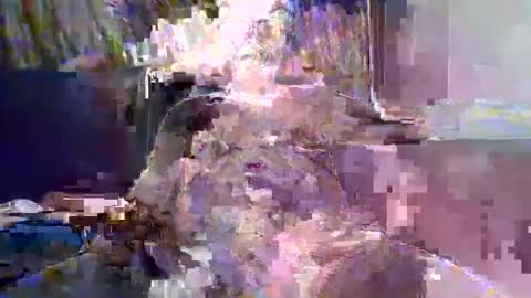 Snapshot of ewaldwillems99 chatting on 02/10/26, 04:22 Naaktloper online show from 02/10/26, 04:22