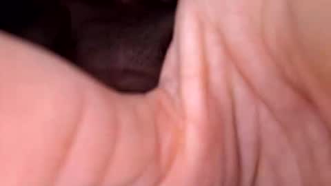 Snapshot of exhibboytoy3 chatting on 03/24/26, 07:24 Exhibboytoy3 online show from 03/24/26, 07:24