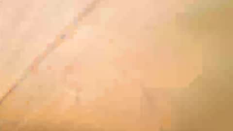 Exhibboytoy3 online show from 05/16/26, 12:59