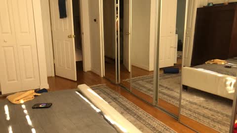 exhibitp online show from 02/09/25, 07:19