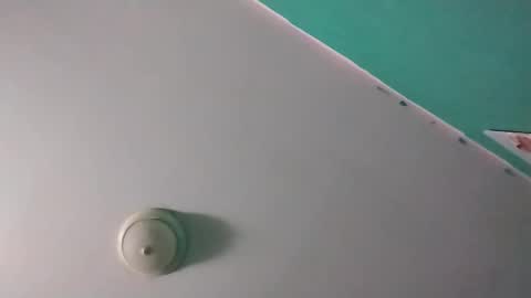 Snapshot of experttreecompany chatting on 03/14/26, 10:10 experttreecompany online show from 03/14/26, 10:10